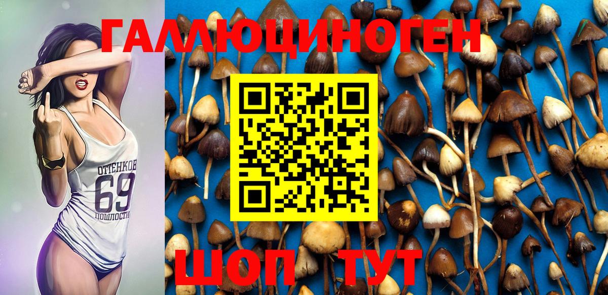 Галлюциногенные грибы GOLDEN TEACHER  Вход с VPN  Салават 